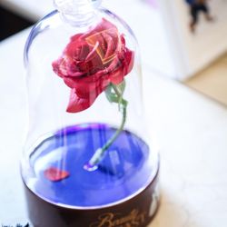 アンジェリオン オ プラザ TOKYOの写真21枚目