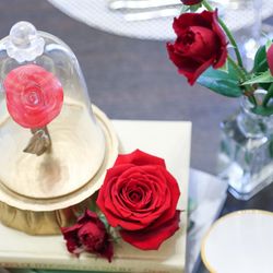 アンジェリオン オ プラザ TOKYOの写真11枚目