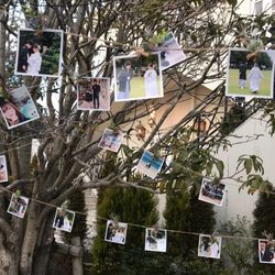 アーククラブ迎賓館 水戸の写真5枚目