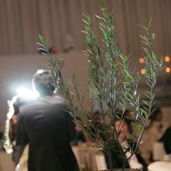 ザ・ピーク プレミアムテラスの写真12枚目