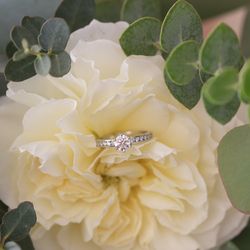 リーガロイヤルホテル京都の写真33枚目