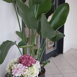 アニエス郡山の写真8枚目