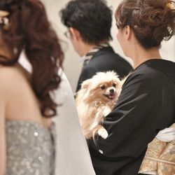 アニエス郡山の写真36枚目