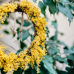 リストランテASOの写真2枚目