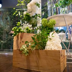 宮の森フランセス教会の写真35枚目