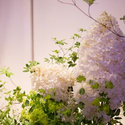 宮の森フランセス教会の写真22枚目