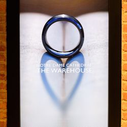 ノートルダム横浜みなとみらいの写真25枚目