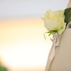 ララシャンス岡崎迎賓館の写真6枚目