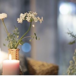 プルメリアガーデン・チャペルの写真12枚目