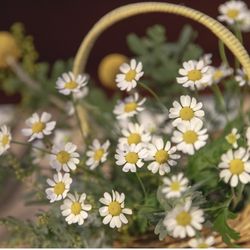 プルメリアガーデン・チャペルの写真14枚目