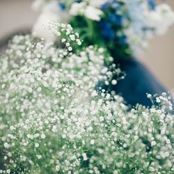 アクアガーデンテラスの写真12枚目