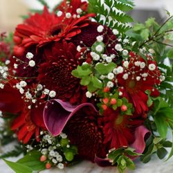 ザ ガーデンハウス シェル エ メールの写真15枚目