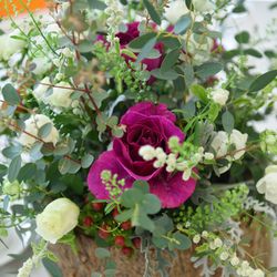 ザ ガーデンハウス シェル エ メールの写真5枚目