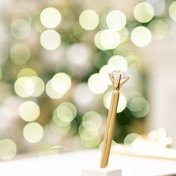 アプローズスクエア 名古屋迎賓館の写真25枚目