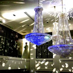 カノビアーノ 福岡の写真5枚目