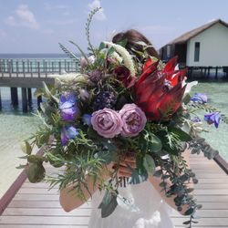 ザ・ヒルサイド神戸の写真9枚目