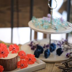 BAYSIDE GEIHINKAN VERANDA minatomiraiの写真35枚目