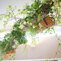 北野ガーデンの写真3枚目