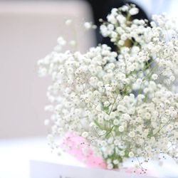 ララシャンス岡崎迎賓館の写真21枚目