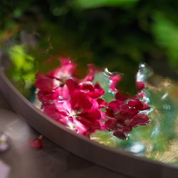 パレスホテル東京の写真25枚目