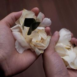 SHOZAN  RESORT  KYOTOの写真14枚目