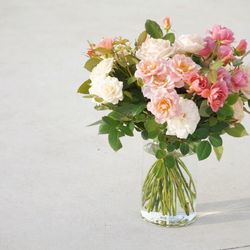 SHOZAN  RESORT  KYOTOの写真22枚目