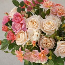 SHOZAN  RESORT  KYOTOの写真5枚目