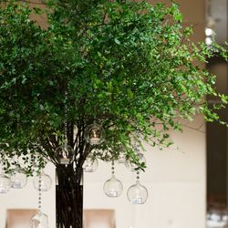 パレスホテル東京の写真12枚目