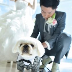 クレール ベイサイドの写真25枚目