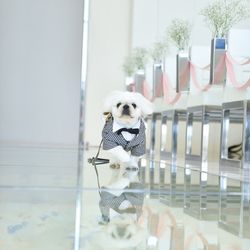 クレール ベイサイドの写真17枚目