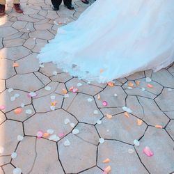 クレール ベイサイドの写真9枚目