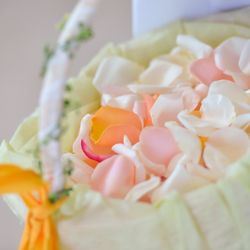 クレール ベイサイドの写真3枚目