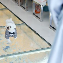 クレール ベイサイドの写真3枚目