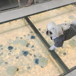 クレール ベイサイドの写真5枚目