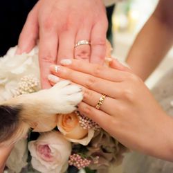 アールベルアンジェチャペル嵯峨野の写真7枚目