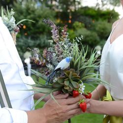 パラッツォ ドゥカーレ 麻布の写真24枚目