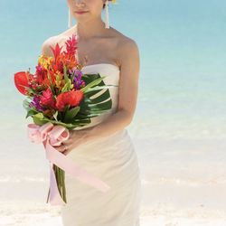 パラッツォ ドゥカーレ 麻布の写真28枚目