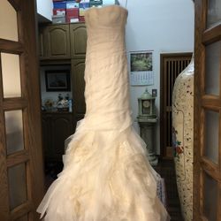 パラッツォ ドゥカーレ 麻布の写真11枚目