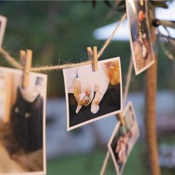 星野リゾート 軽井沢ホテルブレストンコートの写真30枚目