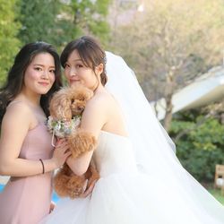 ニーズ青山 by T&G WEDDING の写真5枚目