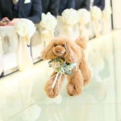 ニーズ青山 by T&G WEDDING の写真28枚目