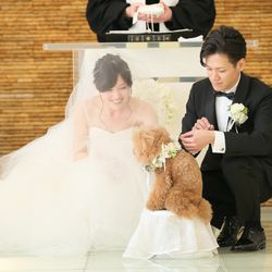ニーズ青山 by T&G WEDDING の写真29枚目