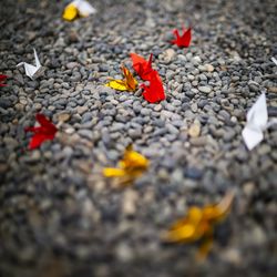 八芳園の写真31枚目