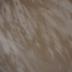 TRUNK HOTELの写真19枚目