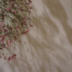 TRUNK HOTELの写真23枚目