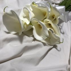 SOLA KOBEの写真17枚目