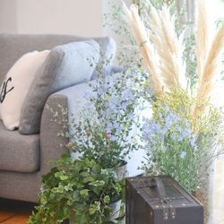 ララシャンスベルアミー 鳥栖の写真29枚目