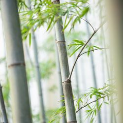 横浜迎賓館の写真5枚目