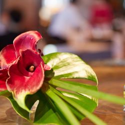 パーク ハイアット 東京の写真33枚目