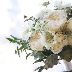 パーク ハイアット 東京の写真30枚目